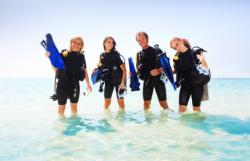 Destination Open Water Diver avec voyage-plongee.com Pas d'illustration