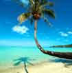 Destination Plongée Bora Bora avec voyage-plongee.com Pas d'illustration