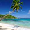 Destination Plongée Seychelles avec voyage-plongee.com Pas d'illustration