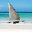 Destination Plongée Tanzanie avec voyage-plongee.com Pas d'illustration