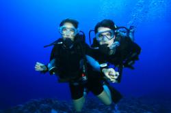 Destination Dive Master avec voyage-plongee.com Pas d'illustration