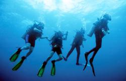 Destination Rescue Diver avec voyage-plongee.com Pas d'illustration