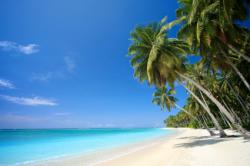 plongée bahamas