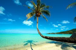 plongée bora bora