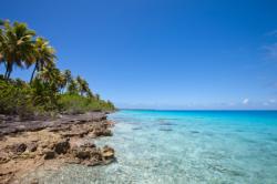 plongée île de la réunion