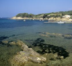 Destination Plongée Presqu'île de Giens avec voyage-plongee.com Pas d'illustration