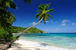 plongée seychelles