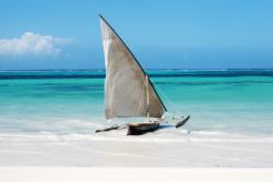 plongée tanzanie