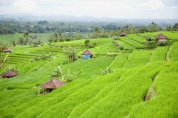séjour plongée bali