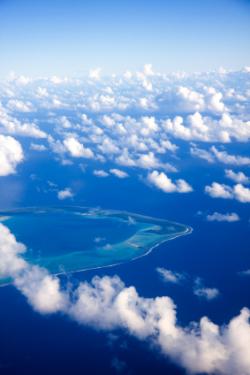 séjour plongée tuamotu