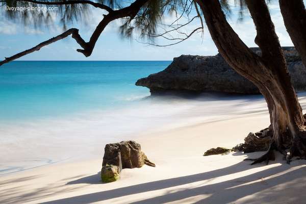 Destination Plongée Mer des Caraïbes avec voyage-plongee.com Pas d'illustration
