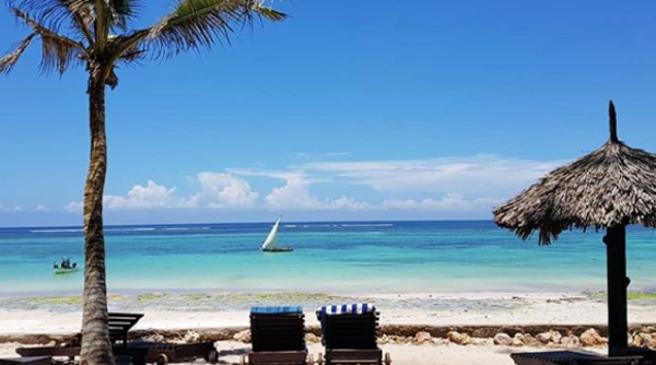 Plongée avec les dauphins à Diani Beach au Kenya