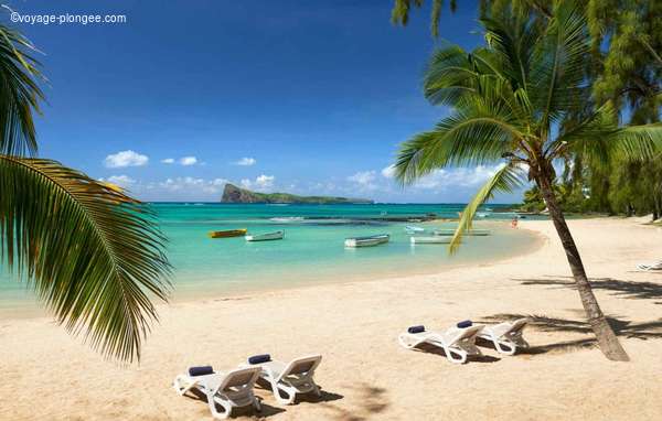 Les plus belles destinations pour un séjour plongée avec voyage-plongee.com