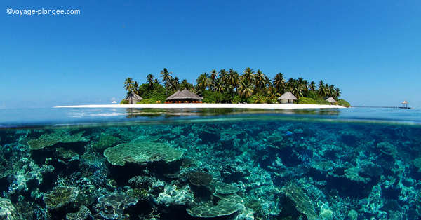 Destination Voyage Plongée aux Maldives avec voyage-plongee.com Pas d'illustration