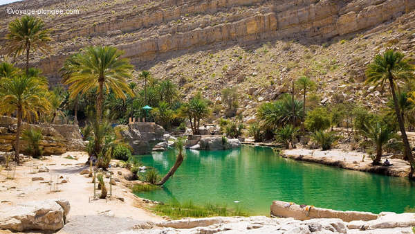 Destination Plongée Oman avec voyage-plongee.com Pas d'illustration